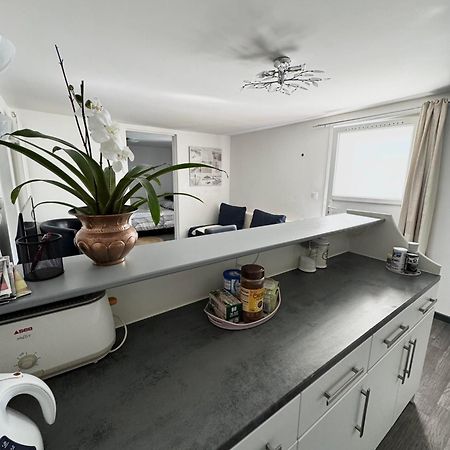 Appartement Detox Au Pied Du Semnoz Seynod Buitenkant foto