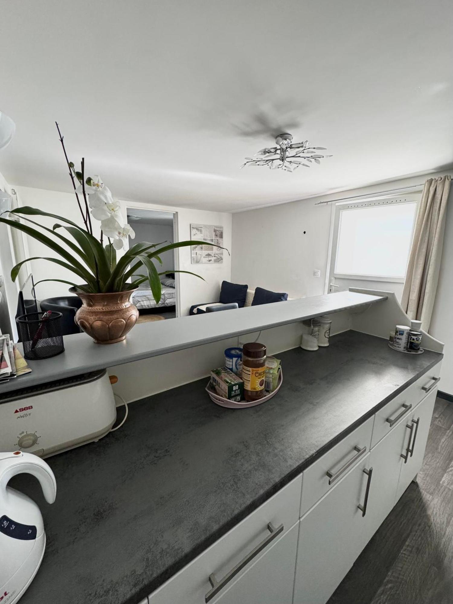 Appartement Detox Au Pied Du Semnoz Seynod Buitenkant foto